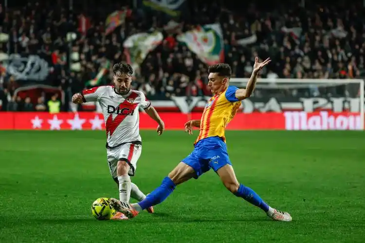 雨燕直播免费看